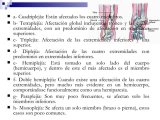 a- Cuadriplejía: Están afectados los cuatro miembros. b- Tetraplejía: Afectación global incluyendo tronco y las cuatro extremidades, con un predominio de afectación en miembros superiores. c- Triplejía: Afectación de las extremidades inferiores y una superior. d- Diplejía: Afectación de las cuatro extremidades con predominio en extremidades inferiores. e- Hemiplejía: Está tomado un solo lado del cuerpo (hemicuerpo), y dentro de este el más afectado es el miembro superior. f- Doble hemiplejía: Cuando existe una afectación de las cuatro extremidades, pero mucho más evidente en un hemicuerpo, comportándose funcionalmente como una hemiparesia. g- Paraplejía: Son muy poco frecuentes, se afectan solo los miembros inferiores. h- Monoplejía: Se afecta un solo miembro (brazo o pierna), estos casos son poco comunes. 