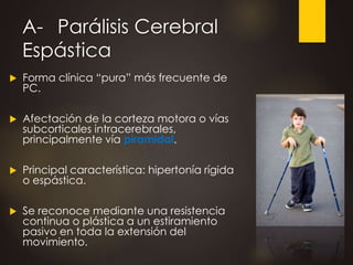 A- Parálisis Cerebral
Espástica
 Forma clínica “pura” más frecuente de
PC.
 Afectación de la corteza motora o vías
subcorticales intracerebrales,
principalmente vía piramidal.
 Principal característica: hipertonía rígida
o espástica.
 Se reconoce mediante una resistencia
continua o plástica a un estiramiento
pasivo en toda la extensión del
movimiento.
 