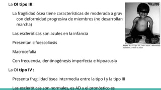 La OI tipo III:
La fragilidad ósea tiene características de moderada a grave
con deformidad progresiva de miembros (no desarrollan
marcha)
Las escleróticas son azules en la infancia
Presentan cifoescoliosis
Macrocefalia
Con frecuencia, dentinogénesis imperfecta e hipoacusia
La OI tipo IV :
Presenta fragilidad ósea intermedia entre la tipo I y la tipo III
Las escleróticas son normales, es AD y el pronóstico es
 