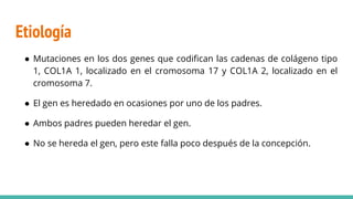 Etiología
● Mutaciones en los dos genes que codifican las cadenas de colágeno tipo
1, COL1A 1, localizado en el cromosoma 17 y COL1A 2, localizado en el
cromosoma 7.
● El gen es heredado en ocasiones por uno de los padres.
● Ambos padres pueden heredar el gen.
● No se hereda el gen, pero este falla poco después de la concepción.
 