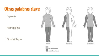 Otras palabras clave
Diplegia
Hemiplegia
Quadriplegia
 