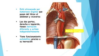 Parálisis diafragmática.pptx
