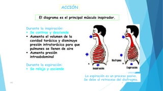 Parálisis diafragmática.pptx