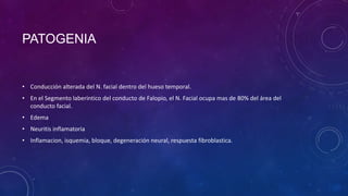 PATOGENIA

• Conducción alterada del N. facial dentro del hueso temporal.
• En el Segmento laberintico del conducto de Falopio, el N. Facial ocupa mas de 80% del área del
conducto facial.
• Edema

• Neuritis inflamatoria
• Inflamacion, isquemia, bloque, degeneración neural, respuesta fibroblastica.

 