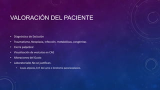 VALORACIÓN DEL PACIENTE
• Diagnóstico de Exclusión
• Traumatismo, Neoplasia, infección, metabólicas, congénitas
• Cierre palpebral

• Visualización de vesículas en CAE
• Alteraciones del Gusto
• Laboratoriales No se justifican.
•

Casos atípicos, Enf. De Lyme o Sindrome paraneoplasico.

 