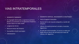VIAS INTRATEMPORALES
• SEGMENTO TIMPANICO

• SEGMENTO VERTICAL, DESCENDENTE O MASTOIDEO

• En el ganglio Geniculado, se genera la primera
flexion y se convierte en el segmento timpánico.
Ya que viaja en el oído medio

• Hacia el agujero mastoideo

• Longitud de 10 mm

• Inferior. Se vuelve proximal a arcada y musculos
digastricos.

• Musculo tensor del timpano
• Susceptible a lesión quirúrgica
• Colesteatoma

• Ramas del N. del musculo estapedio y cuerda del
timpano.

• Al salid del esilomastoideo, el nervio se rodea por
tejido fibroso denso del periostio de la base de
cráneo y M. digastrico.

 