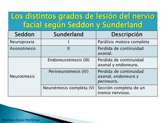 RECUERDO MORFOFUNCIONAL cont.Las diversas funciones que realiza el VII par son:Motoras: aporta la inervación motora de la musculatura estapedial, facial y parte de la cervical.Sensitiva: Recoge la sensibilidad táctil del velo palatino y del área de RamsayHunt.Sensorial: Recoge la sensibilidad gustativa de los dos tercios anteriores de la lengua, controla la secreción salival y nasal y participa en la regulación vegetativa del tono vestibular gracias a las conexiones entre los pares VII y VIII localizadas en el fondo del CAI, si bien su papel no es ni mucho menos el más importante en la regulación del tono vestibular.Refleja: Participa también el VII par en los reflejos de: amenaza (I-VII), palpebral (V-VII), estapedial (VIII-VII) y de succión (V-VII-XII).Parálisis Facial Periférica