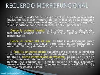 La parálisis facial está considerada como una de las lesiones más devastadoras de los pares craneales, debido a su impacto clínico y psicológico en la vida de los pacientes.