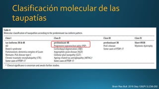 Brain Res Bull. 2016 Sep;126(Pt 3):238-292
Clasificación molecular de las
taupatías
 
