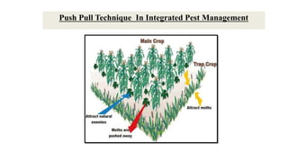 Push Pull Technique In Integrated Pest Management
 