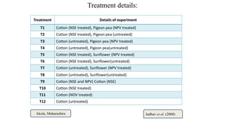 Treatment details:
Treatment Details of experiment
T1 Cotton (NSE treated), Pigeon pea (NPV treated)
T2 Cotton (NSE treated), Pigeon pea (untreated)
T3 Cotton (untreated), Pigeon pea (NPV treated)
T4 Cotton (untreated), Pigeon pea(untreated)
T5 Cotton (NSE treated), Sunflower (NPV treated)
T6 Cotton (NSE treated), Sunflower(untreated)
T7 Cotton (untreated), Sunflower (NPV treated)
T8 Cotton (untreated), Sunflower(untreated)
T9 Cotton (NSE and NPV) Cotton (NSE)
T10 Cotton (NSE treated)
T11 Cotton (NOV treated)
T12 Cotton (untreated)
Jadhav et al. (2008)
Akola, Maharashtra
 