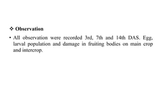  Observation
• All observation were recorded 3rd, 7th and 14th DAS. Egg,
larval population and damage in fruiting bodies on main crop
and intercrop.
 