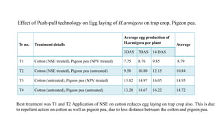 Tr no. Treatment details
Average egg production of
H.armigera per plant Average
3DAS 7DAS 14 DAS
T1 Cotton (NSE treated), Pigeon pea (NPV treated) 7.75 8.76 9.85 8.79
T2 Cotton (NSE treated), Pigeon pea (untreated) 9.58 10.80 12.15 10.84
T3 Cotton (untreated), Pigeon pea (NPV treated) 13.82 14.97 16.05 14.95
T4 Cotton (untreated), Pigeon pea (untreated) 13.28 14.67 16.22 14.72
Effect of Push-pull technology on Egg laying of H.armigera on trap crop, Pigeon pea.
Best treatment was T1 and T2 Application of NSE on cotton reduces egg laying on trap crop also. This is due
to repellent action on cotton as well as pigeon pea, due to less distance between the cotton and pigeon pea.
 