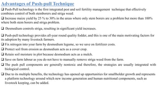 Advantages of Push-pull Technique
 Push-Pull technology is the first integrated pest and soil fertility management technique that effectively
combines control of both stemborers and striga weed.
 Increase maize yield by 25 % to 30% in the areas where only stem borers are a problem but more than 100%
where both stem borers and striga problem.
 Desmodium controls striga, resulting in significant yield increases.
 Push-pull technology provides all-year round quality fodder, and this is one of the main motivating factors for
its adoption by many livestock farmers.
 Fix nitrogen into your farm by desmodium legume, so we save on fertilizer costs.
 Protect soil from erosion as desmodium acts as a cover crop.
 Retain soil moisture in plot because desmodium acts as a mulch.
 Save on farm labour as you do not have to manually remove striga weed from the farm.
 The push pull components are generally nontoxic and therefore, the strategies are usually integrated with
biological control.
 Due to its multiple benefits, the technology has opened up opportunities for smallholder growth and represents
a platform technology around which new income generation and human nutritional components, such as
livestock keeping, can be added.
 