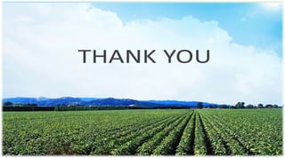 Push Pull Technique  In Integrated Pest Management 