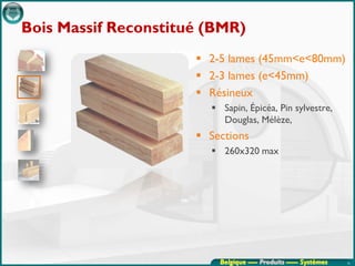 Bois Massif Reconstitué (BMR)
                       2-5 lames (45mm<e<80mm)
                       2-3 lames (e<45mm)
                       Résineux
                         Sapin, Épicéa, Pin sylvestre,
                          Douglas, Mélèze,
                       Sections
                         260x320 max




                          Belgique ---- Produits ----- Systèmes   16
 