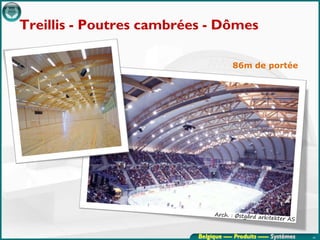 Treillis - Poutres cambrées - Dômes

                                       86m de portée




                          Belgique ---- Produits ----- Systèmes   46
 