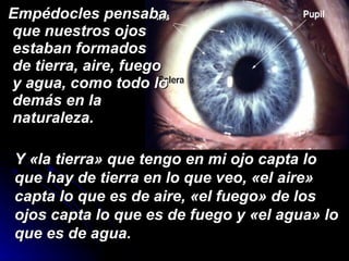 Empédocles pensaba que nuestros ojos estaban formados de tierra, aire, fuego y agua, como todo lo demás en la naturaleza.  Y «la tierra» que tengo en mi ojo capta lo que hay de tierra en lo que veo, «el aire» capta lo que es de aire, «el fuego» de los ojos capta lo que es de fuego y «el agua» lo que es de agua.   