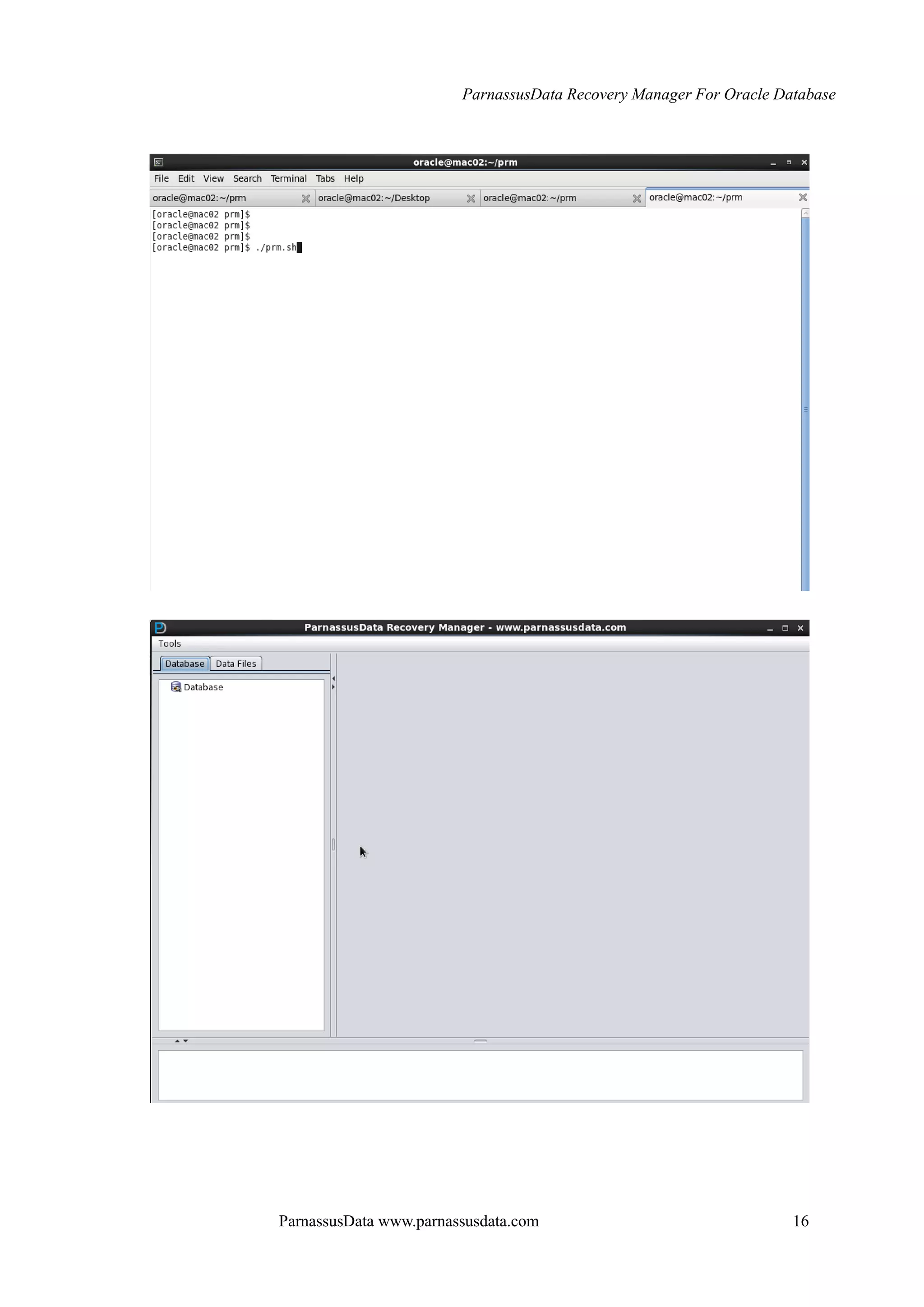 ParnassusData Recovery Manager For Oracle Database
ParnassusData www.parnassusdata.com 16
 