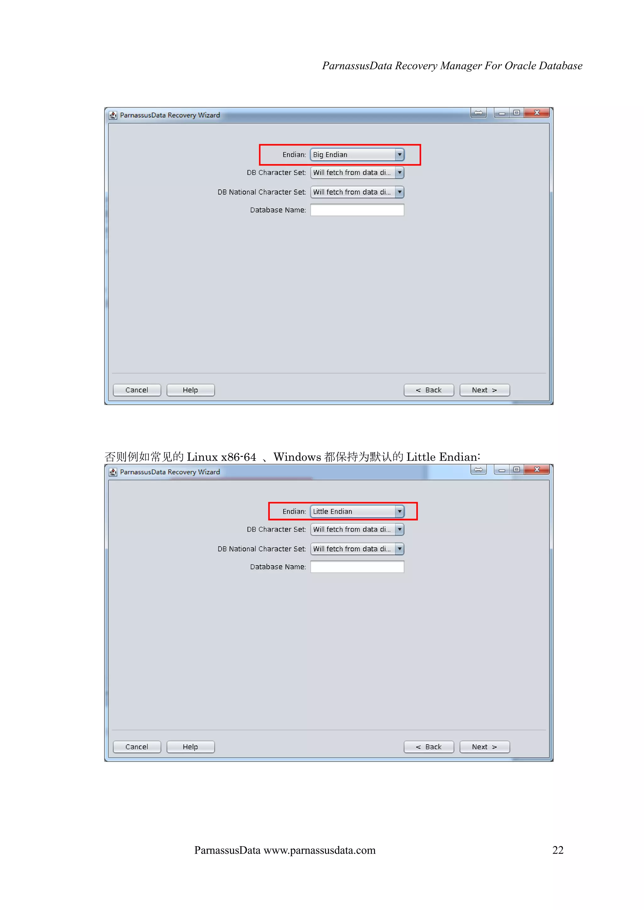 ParnassusData Recovery Manager For Oracle Database
ParnassusData www.parnassusdata.com 22
否则例如常见的 Linux x86-64 、Windows 都保持为默认的 Little Endian:
 