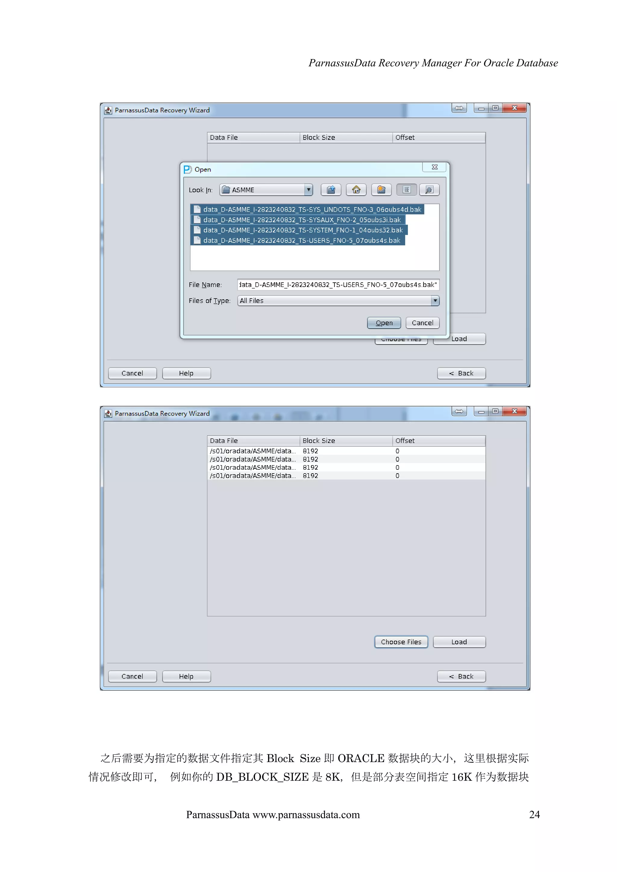 ParnassusData Recovery Manager For Oracle Database
ParnassusData www.parnassusdata.com 24
之后需要为指定的数据文件指定其 Block Size 即 ORACLE 数据块的大小，这里根据实际
情况修改即可， 例如你的 DB_BLOCK_SIZE 是 8K，但是部分表空间指定 16K 作为数据块
 