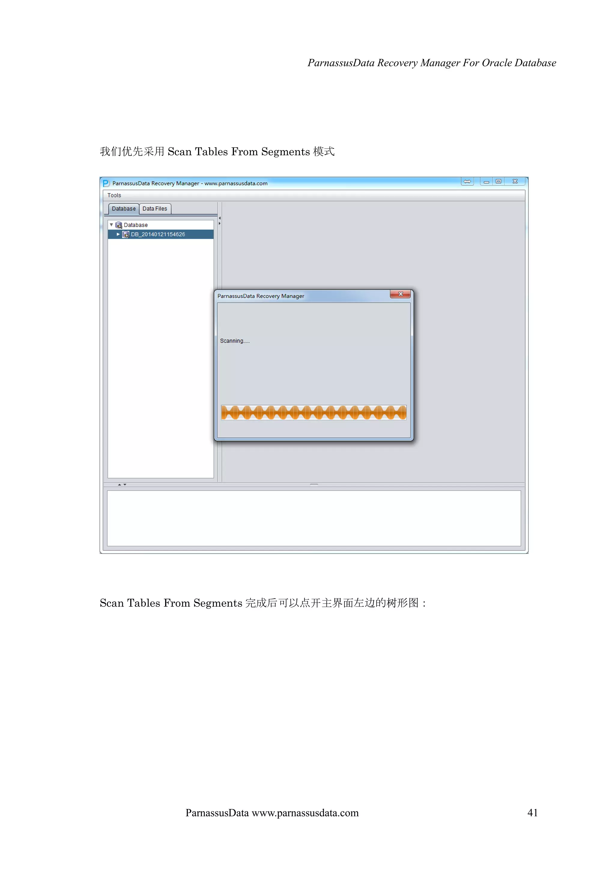 ParnassusData Recovery Manager For Oracle Database
ParnassusData www.parnassusdata.com 41
我们优先采用 Scan Tables From Segments 模式
Scan Tables From Segments 完成后可以点开主界面左边的树形图：
 