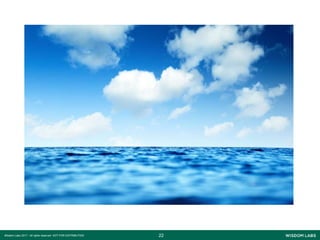 2222Wisdom Labs 2017 - All rights reserved NOT FOR DISTRIBUTION
 