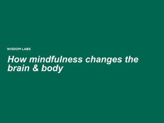 How mindfulness changes the
brain & body
 