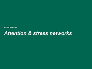 Attention & stress networks
 