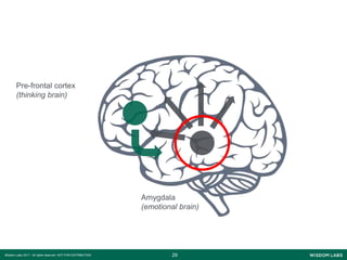 2929Wisdom Labs 2017 - All rights reserved NOT FOR DISTRIBUTION
Amygdala
(emotional brain)
Pre-frontal cortex
(thinking brain)
 