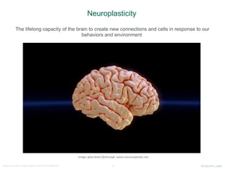 3Wisdom Labs 2016 - All rights reserved NOT FOR DISTRIBUTION
Neuroplasticity
The lifelong capacity of the brain to create new connections and cells in response to our
behaviors and environment
image: glass brain flythrough. www.neuroscapelab.com
 