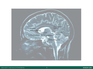 55Wisdom Labs 2017 - All rights reserved NOT FOR DISTRIBUTION
Attention
Positive Emotions
Learning
Memory
Emotional Balance
Perspective
Taking
Stress Response
Compassion
Empathy
Decision Making
 