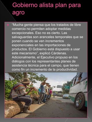  “Mucha gente piensa que los tratados de libre
comercio no permiten adoptar medidas
excepcionales. Eso no es cierto. Las
salvaguardas son aranceles temporales que se
ponen cuando se ven incrementos
exponenciales en las importaciones de
productos. El Gobierno está dispuesto a usar
este mecanismo”, explicó Cárdenas.
Adicionalmente, el Ejecutivo propuso en los
diálogos con los representantes planes de
asistencia técnica para el campo, que tienen
como fin un incremento de la productividad.
 