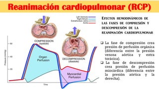  La fase de compresión crea
presión de perfusión orgánica
(diferencia entre la presión
venosa aórtica y extra
torácica).
 La fase de descompresión
crea presión de perfusión
miocárdica (diferencia entre
la presión aórtica y la
derecha).
Reanimación cardiopulmonar (RCP)
Efectos hemodinámicos de
las fases de compresión y
descompresión de la
reanimación cardiopulmonar
 