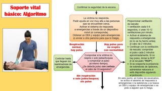 Soporte vital
básico: Algoritmo
 