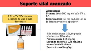 7. Si la TV / FV recurre
después de una o más
descargas
Amiodarona
Primera dosis 300 mg en bolo I.V. o
I.O .
Segunda dosis 150 mg en bolo I.V. si
la arritmia vuelve a aparecer.
Si la amiodarona falla,se puede
administrar lidocaína:
Primera dosis: 1-1.5 mg/kg
Segunda dosis: 0,5-0,75 mg/kg a
intervalos de 5-10 min
Dosis máxima 3 mg/kg
Soporte vital avanzado
 