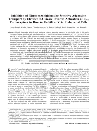 Inhibition of Nitrobenzylthioinosine-Sensitive Adenosine
 Transport by Elevated D-Glucose Involves Activation of P2Y2
  Purinoceptors in Human Umbilical Vein Endothelial Cells
    Jorge Parodi, Carlos Flores, Claudio Aguayo, M. Isolde Rudolph, Paola Casanello, Luis Sobrevia

Abstract—Chronic incubation with elevated D-glucose reduces adenosine transport in endothelial cells. In this study,
  exposure of human umbilical vein endothelial cells to 25 mmol/L D-glucose or 100 mol/L ATP, ATP- -S, or UTP, but
  not ADP or , -methylene ATP, reduced adenosine transport with no change in transport affinity. Inhibition of transport
  by D-glucose, ATP, and ATP- -S was associated with reduced maximal binding, with no changes in the apparent
  dissociation constant for nitrobenzylthioinosine (NBMPR). A significant reduction ( 60 10%, P 0.05; n 6) in the
  number of human equilibrative NBMPR-sensitive nucleoside transporters (hENT1s) per cell (1.8 0.1 106 in 5 mmol/L
  D-glucose) and in hENT1 mRNA levels was observed in cells exposed to D-glucose or ATP- -S. Incubation with
  elevated D-glucose, but not with D-mannitol, increased the ATP release by 3 0.2-fold . The effects of D-glucose and
  nucleotides on the number and activity of hENT1 and hENT1 mRNA were blocked by reactive blue 2 (nonspecific P2Y
  purinoceptor antagonist), suramin (G s protein inhibitor), or hexokinase but not by pyridoxal phosphate-6-azophenyl-
  2 ,4 -disulfonic acid (nonselective P2 purinoceptor antagonist). Our findings demonstrate that inhibition of adenosine
  transport via hENT1 in endothelial cells cultured in 25 mmol/L D-glucose could be due to stimulation of P2Y2
  purinoceptors by ATP, which is released from these cells in response to D-glucose. This could be a mechanism to explain
  in part the vasodilatation observed in the early stages of diabetes mellitus or in response to D-glucose infusion. (Circ Res.
  2002;90:570-577.)
                         Key Words: endothelium              adenosine        nitric oxide      glucose      purinoceptors



R     emoval of extracellular adenosine is an essential step in
      the modulation of several of the biological actions of this
endogenous nucleoside.1– 4 Plasma and tissue levels of aden-
                                                                              endothelium.11 ATP also induces activation of PKC in endo-
                                                                              thelium from human umbilical vein,12 bovine pulmonary
                                                                              artery,13 and porcine aorta.14,15 Activation of P2Y1 and P2Y2
osine are regulated by an efficient membrane transport                        purinoceptors with ATP induced the phosphorylation of
mediated by the Na -independent, nitrobenzylthioinosine                       p42mapk in the human endothelial cell line EAhy 92616 and
(NBMPR)-sensitive equilibrative nucleoside transporter (sys-                  p42/p44mapk in bovine aortic endothelium.17 Therefore, the
tem es or ENT1)3,4 in human vascular endothelium5,6 and                       cellular effects of elevated D-glucose and activation of P2Y
smooth muscle.7,8 Human ENT1 (hENT1) expression in Raji                       purinoceptors could involve common signal transduction
cells (a human B-lymphocyte cell line) is dependent on NO                     pathways in human endothelium.
levels and the activity of protein kinase C (PKC).9 Incubation                   We have investigated the involvement of P2Y purinoceptors in
of human umbilical vein endothelial cells (HUVECs) with                       the effect of elevated D-glucose on NBMPR-sensitive adenosine
25 mmol/L D-glucose for 24 hours has been reported to                         transport in cultures of HUVECs. We established that endothe-
reduce the NBMPR-sensitive adenosine transport associated                     lial cells express the hENT1 isoform of nucleoside transporters
with increased protein levels and the activity of endothelial                 and that incubation with 25 mmol/L D-glucose leads to inhibition
NO synthase, intracellular Ca2 , PKC, and mitogen-activated                   of adenosine transport by a mechanism that involves the activa-
protein kinases p42/p44mapk.6,10 Thus, hENT1 adenosine trans-                 tion of P2Y2 purinoceptors. In addition, elevated D-glucose
porters could be expressed and modulated in HUVECs.                           diminished hENT1 mRNA levels, an effect mimicked by ATP
   It has been reported that ATP inhibits dipyridamole-                       and blocked by P2Y antagonists. A preliminary account of the
sensitive adenosine transport in human pulmonary artery                       present study has been reported.18


  Original received July 27, 2001; revision received January 29, 2002; accepted January 29, 2002.
  From the Cellular and Molecular Physiology Laboratory, Department of Physiology (J.P., C.F., C.A., M.I.R., P.C., L.S.), the Department of
Pharmacology (M.I.R.), Faculty of Biological Sciences, and the Department of Obstetrics and Gynecology (P.C.), Faculty of Medicine, University of
Concepción, Concepción, Chile.
  Presented in part at The Physiological Society meeting, King’s College London, UK, December 18 –20, 2000, and published in abstract form [J Physiol
(Lond). 2001;531:36P].
  Correspondence to Dr L. Sobrevia, Cellular and Molecular Physiology Laboratory (CMPL), Department of Physiology, Faculty of Biological Sciences,
University of Concepción, PO Box 160-C, Concepción, Chile. E-mail lsobrev@udec.cl
  © 2002 American Heart Association, Inc.
  Circulation Research is available at http://www.circresaha.org                                         DOI: 10.1161/01.RES.0000012582.11979.8B

                                                                        570
 
