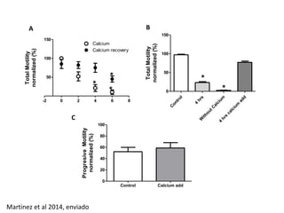 A B 
150 
100 
50 
Calcium 
Calcium recovery 
* 
* 
* 
-2 0 2 4 6 8 
Total Motility 
normalized (%) 
150 
100 
50 
Control Calcium add 
100 
80 
60 
40 
20 
0 
Progresive Motility 
normalized (%) 
Control 
4 hrs 
Without Calcium 
4 hrs calcium add 
0 
* 
* 
Total Motility 
normalized (%) 
C 
Martinez et al 2014, enviado 
 