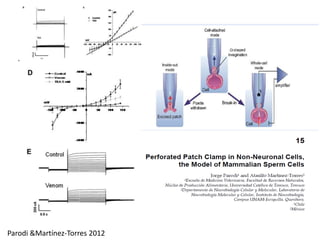 Parodi &Martínez-Torres 2012 
 