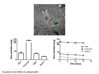 Escudero et al 2014, en preparación 
 