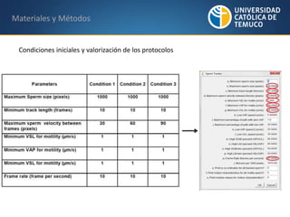 Materiales y Métodos 
Condiciones iniciales y valorización de los protocolos 
 
