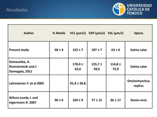 Resultados 
Author % Motile VCL (μm/s) VAP (μm/s) VSL (μm/s) Spices 
Present study 68 ± 4 122 ± 7 107 ± 7 63 ± 6 Salmo salar 
Dziewulska, A. 
Rzemieniecki and J. 
Domagala, 2011 
178,4 ± 
63,6 
155,7 ± 
58,6 
114,8 ± 
72,9 
Salmo salar 
Lahnsteiner F. et al 2005 91,4 ± 20,8 
Onchorhynchus 
mykiss 
Wilson-Leedy J. and 
Ingermann R. 2007 
90 ± 6 104 ± 9 77 ± 15 66 ± 17 Danio rerio 
