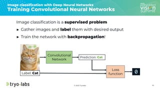© 2020 Tryolabs 45
Image classification with Deep Neural Networks
Training Convolutional Neural Networks
Image classificat...