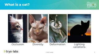 © 2020 Tryolabs
What is a cat?
6
Occlusion Diversity Deformation Lighting
variations
 