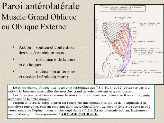 Les douleurs aux dos à la température