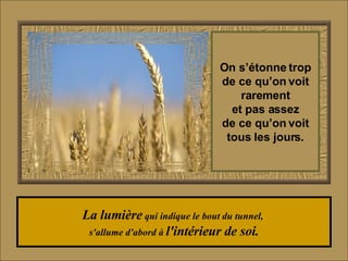La lumière  qui indique le bout du tunnel,  s'allume d'abord à  l'intérieur de soi. On s’étonne trop de ce qu’on voit rarement et pas assez de ce qu’on voit tous les jours. 