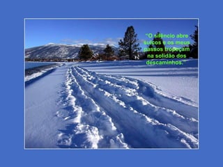 “O silêncio abre
sulcos e os meus
passos tropeçam
na solidão dos
descaminhos.”
 