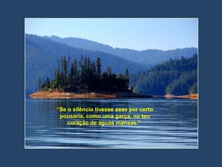 “Se o silêncio tivesse asas por certo
pousaria, como uma garça, no teu
coração de águas mansas.”
 