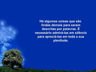 Há algumas coisas que são
lindas demais para serem
descritas por palavras. É
necessário admirá-las em silêncio
para apreciá-las em toda a sua
plenitude.
 