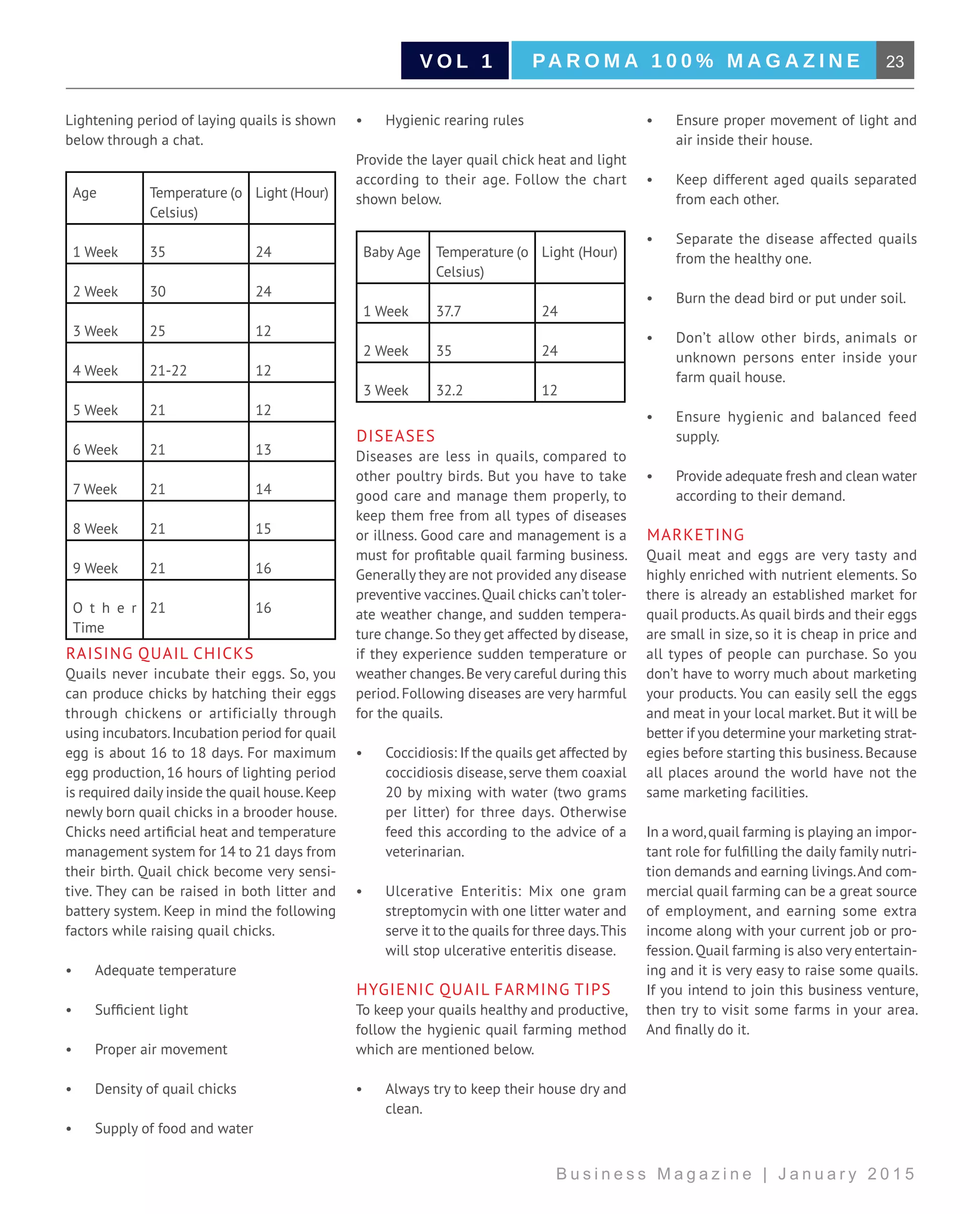 23PA R O M A 1 0 0 % M A G A Z I N EV O L 1
B u s i n e s s M a g a z i n e | J a n u a r y 2 0 1 5
Lightening period of laying quails is shown
below through a chat.
Age Temperature (o
Celsius)
Light (Hour)
1 Week 35 24
2 Week 30 24
3 Week 25 12
4 Week 21-22 12
5 Week 21 12
6 Week 21 13
7 Week 21 14
8 Week 21 15
9 Week 21 16
O t h e r
Time
21 16
Raising Quail Chicks
Quails never incubate their eggs. So, you
can produce chicks by hatching their eggs
through chickens or artificially through
using incubators.Incubation period for quail
egg is about 16 to 18 days. For maximum
egg production, 16 hours of lighting period
is required daily inside the quail house.Keep
newly born quail chicks in a brooder house.
Chicks need artificial heat and temperature
management system for 14 to 21 days from
their birth. Quail chick become very sensi-
tive. They can be raised in both litter and
battery system. Keep in mind the following
factors while raising quail chicks.
•	 Adequate temperature
•	 Sufficient light
•	 Proper air movement
•	 Density of quail chicks
•	 Supply of food and water
•	 Hygienic rearing rules
Provide the layer quail chick heat and light
according to their age. Follow the chart
shown below.
Baby Age Temperature (o
Celsius)
Light (Hour)
1 Week 37.7 24
2 Week 35 24
3 Week 32.2 12
Diseases
Diseases are less in quails, compared to
other poultry birds. But you have to take
good care and manage them properly, to
keep them free from all types of diseases
or illness. Good care and management is a
must for profitable quail farming business.
Generally they are not provided any disease
preventive vaccines.Quail chicks can’t toler-
ate weather change, and sudden tempera-
ture change.So they get affected by disease,
if they experience sudden temperature or
weather changes.Be very careful during this
period. Following diseases are very harmful
for the quails.
•	 Coccidiosis: If the quails get affected by
coccidiosis disease, serve them coaxial
20 by mixing with water (two grams
per litter) for three days. Otherwise
feed this according to the advice of a
veterinarian.
•	 Ulcerative Enteritis: Mix one gram
streptomycin with one litter water and
serve it to the quails for three days.This
will stop ulcerative enteritis disease.
Hygienic Quail Farming Tips
To keep your quails healthy and productive,
follow the hygienic quail farming method
which are mentioned below.
•	 Always try to keep their house dry and
clean.
•	 Ensure proper movement of light and
air inside their house.
•	 Keep different aged quails separated
from each other.
•	 Separate the disease affected quails
from the healthy one.
•	 Burn the dead bird or put under soil.
•	 Don’t allow other birds, animals or
unknown persons enter inside your
farm quail house.
•	 Ensure hygienic and balanced feed
supply.
•	 Provide adequate fresh and clean water
according to their demand.
Marketing
Quail meat and eggs are very tasty and
highly enriched with nutrient elements. So
there is already an established market for
quail products.As quail birds and their eggs
are small in size, so it is cheap in price and
all types of people can purchase. So you
don’t have to worry much about marketing
your products. You can easily sell the eggs
and meat in your local market.But it will be
better if you determine your marketing strat-
egies before starting this business.Because
all places around the world have not the
same marketing facilities.
In a word,quail farming is playing an impor-
tant role for fulfilling the daily family nutri-
tion demands and earning livings.And com-
mercial quail farming can be a great source
of employment, and earning some extra
income along with your current job or pro-
fession.Quail farming is also very entertain-
ing and it is very easy to raise some quails.
If you intend to join this business venture,
then try to visit some farms in your area.
And finally do it.
 